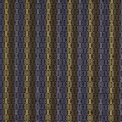 Robert Allen Contract Wild Circles-Stratosphere 150520 Decor Upholstery Fabric
