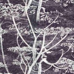 Cole and Son Cow Parsley White / Black 66-7046 New Contemporary Collection Wall Covering