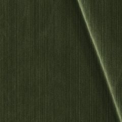 Robert Allen Plush Strie-Palm 241000 Decor Upholstery Fabric