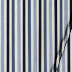 Beacon Hill Bourbon Stripe Navy 234605 Silk Jaquards and Embroideries Collection Multipurpose Fabric