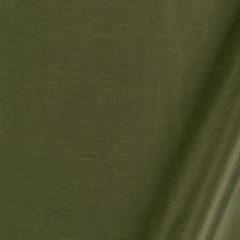 Robert Allen Tramore II-Pine 215517 Decor Multi-Purpose Fabric