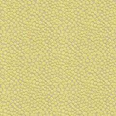 Kravet Polka Dot Plush Wasabi 32972-323 Indoor Upholstery Fabric