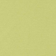 Duralee Lime 32824-213 Decor Fabric