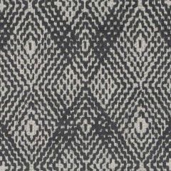 Duralee Carranca Graphite DU16364-174 By Tilton Fenwick Indoor Upholstery Fabric