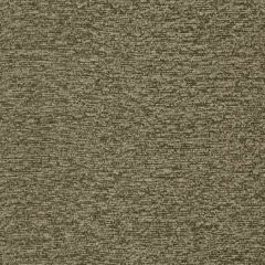 Robert Allen Wild Chenille Moss Performance Chenille Collection Indoor Upholstery Fabric