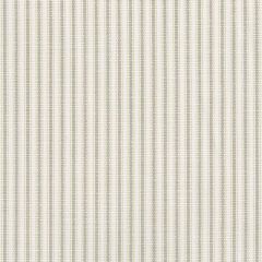 Perennials Tick Tock Stripe White Sands 807-270 The Usual Suspects Collection Upholstery Fabric