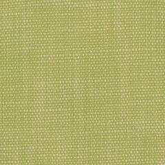 Perennials Rough 'n Rowdy Wasabi 955-305 Beyond the Bend Collection Upholstery Fabric