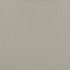 Kravet Design Gillian Grey 11 Ultraleather Plus Indoor Upholstery Fabric