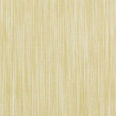 Duralee Yellow 36256-66 Decor Fabric