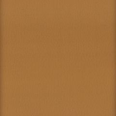 Stout Lodge Cognac 10 Leather Looks III Performance Collection Indoor Upholstery Fabric