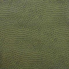 Kravet Design Green Delaney 3 Indoor Upholstery Fabric