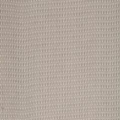 Robert Allen Over And Over Zinc 234194 Filtered Color Collection Indoor Upholstery Fabric