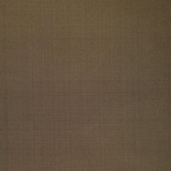 F Schumacher Anniston Silk Taffeta Java 3462005 Chroma Collection Indoor Upholstery Fabric