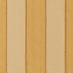 Robert Allen Gran Chaco Straw Essentials Multi Purpose Collection Indoor Upholstery Fabric