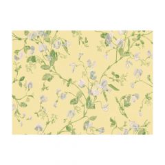 Cole and Son Sweet Pea Yellow 1006029 Archive Anthology Collection Wall Covering