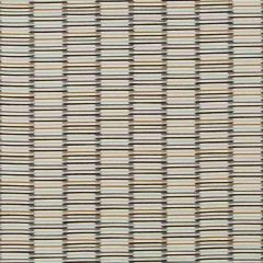 Robert Allen Chazo Cement 259141 Nomadic Color Collection Indoor Upholstery Fabric