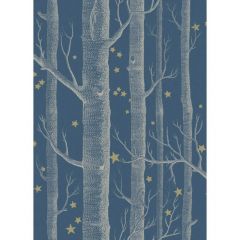 Cole and Son Woods and Stars Midnight 10311052 Whimsical Collection Wall Covering