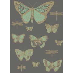 Cole and Son Butterflies and Dragonflies Green On Char 10315067 Whimsical Collection Wall Covering