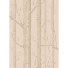 Cole and Son Woods Pink / Gilver 1035024 Whimsical Collection Wall Covering