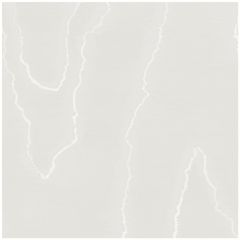 Cole and Son Watered Silk Silver 1061001 Landscape Plains Collection Wall Covering