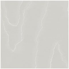 Cole and Son Watered Silk Grey 1061003 Landscape Plains Collection Wall Covering