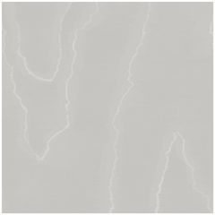 Cole and Son Watered Silk Cloud Grey 1061004 Landscape Plains Collection Wall Covering