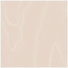 Cole and Son Watered Silk Salmon 1061007 Landscape Plains Collection Wall Covering