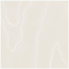 Cole and Son Watered Silk Ivory 1061009 Landscape Plains Collection Wall Covering