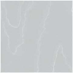 Cole and Son Watered Silk Ice Blue 1061012 Landscape Plains Collection Wall Covering