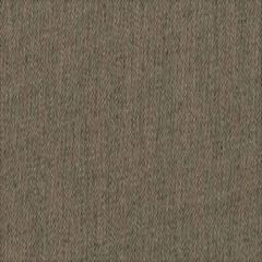 Tempotest Home Driftwood 106/107 120-inch Etamine Collection  Indoor - Outdoor Drapery Fabric