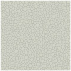 Cole and Son Pebble Pale Grey 1062017 Landscape Plains Collection Wall Covering