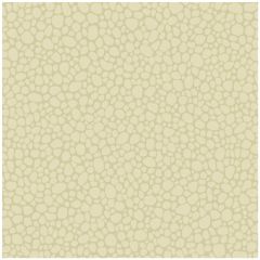 Cole and Son Pebble Cream 1062023 Landscape Plains Collection Wall Covering