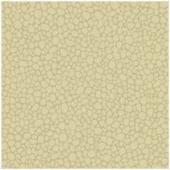 Cole and Son Pebble Latte 1062024 Landscape Plains Collection Wall Covering