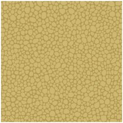 Cole and Son Pebble Sand 1062025 Landscape Plains Collection Wall Covering