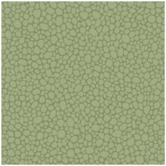 Cole and Son Pebble Dark Olive 1062026 Landscape Plains Collection Wall Covering
