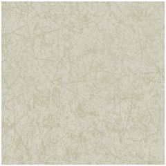 Cole and Son Cordovan Stone 1064057 Landscape Plains Collection Wall Covering