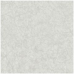 Cole and Son Cordovan Grey 1064059 Landscape Plains Collection Wall Covering