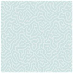 Cole and Son Coral Print Room Blue 1065064 Landscape Plains Collection Wall Covering