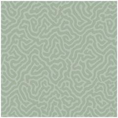 Cole and Son Coral Sage 1065066 Landscape Plains Collection Wall Covering
