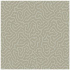 Cole and Son Coral Stone 1065073 Landscape Plains Collection Wall Covering