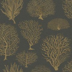 Cole and Son Seafern Black & Gold 1072006 Curio Collection Wall Covering