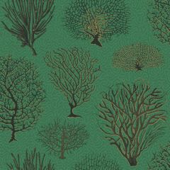 Cole and Son Seafern Emerald 1072007 Curio Collection Wall Covering