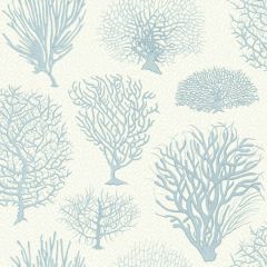 Cole and Son Seafern Blue 1072009 Curio Collection Wall Covering