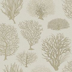 Cole and Son Seafern Stone 1072010 Curio Collection Wall Covering