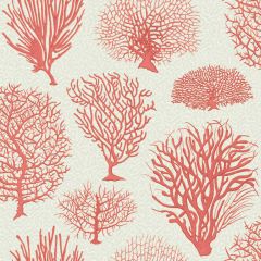 Cole and Son Seafern Coral 1072011 Curio Collection Wall Covering