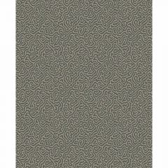 Cole and Son Vermicelli Black & Linen 1074017 Curio Collection Wall Covering