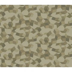 Cole and Son Ingot Olive & Gilver 1075024 Curio Collection Wall Covering