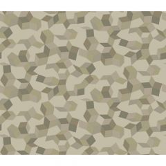 Cole and Son Ingot Stone & Gilver 1075025 Curio Collection Wall Covering