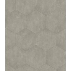 Cole and Son Mineral Grey 1076030 Curio Collection Wall Covering