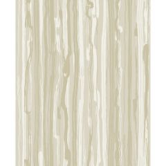 Cole and Son Strand Stone 1077033 Curio Collection Wall Covering
